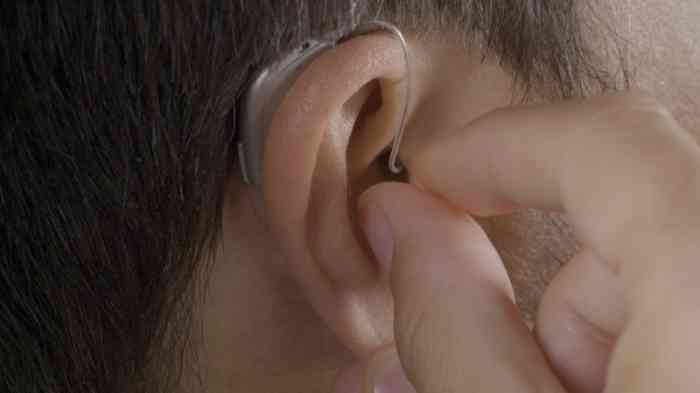 Behind-the-ear hearing aid