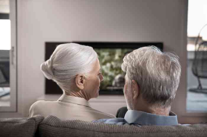 Couple facing the TV