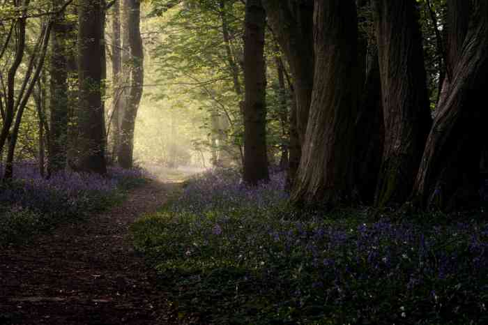 A toast around a table
