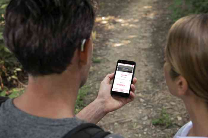 Un couple utilisant ensemble une tablette