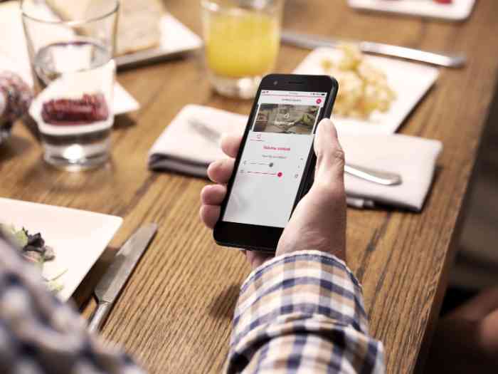 family lunch with someone using a phone.
