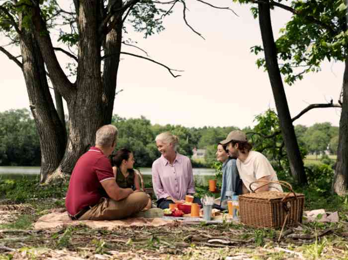 Famille faisant un pique-nique dans l'herbe.
