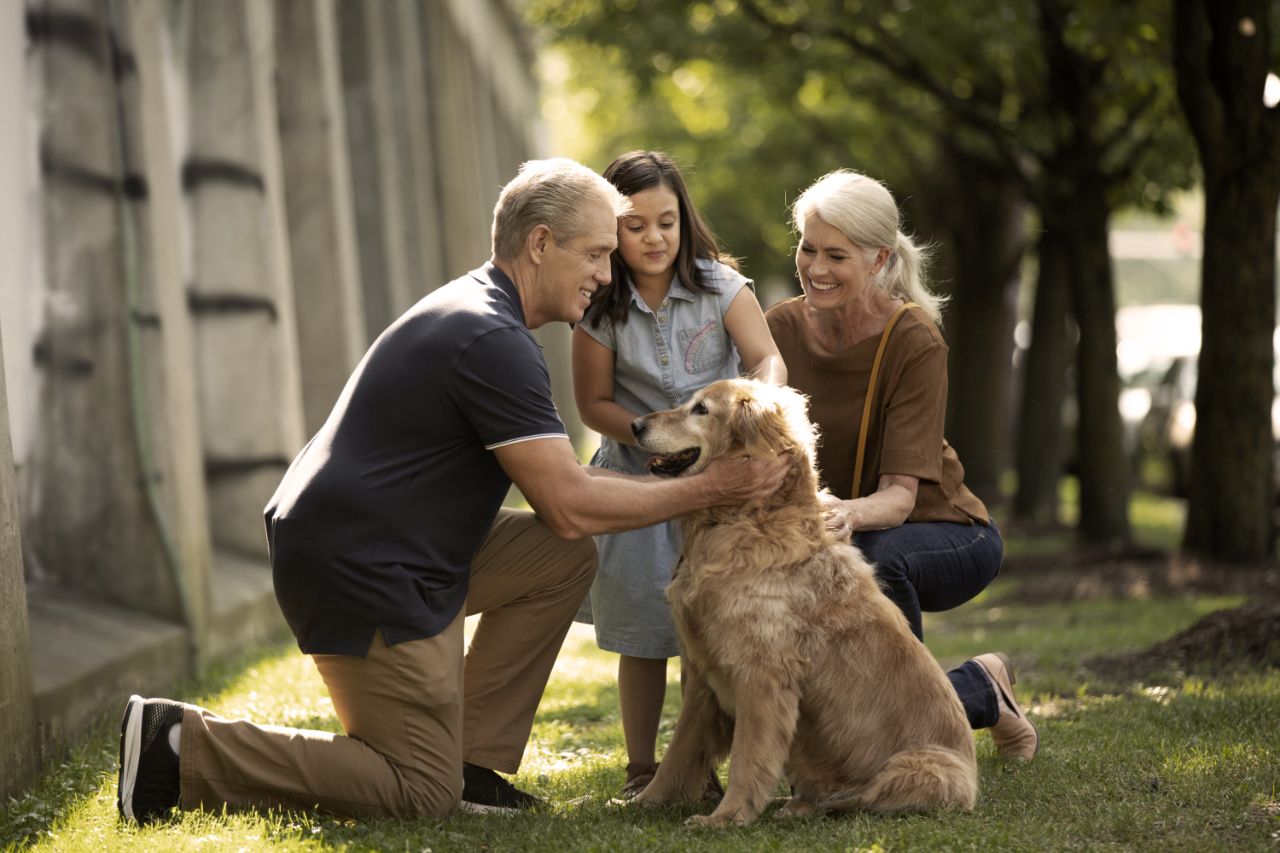 Couple senior et leur petite-fille promenant leur chien dans un parc.