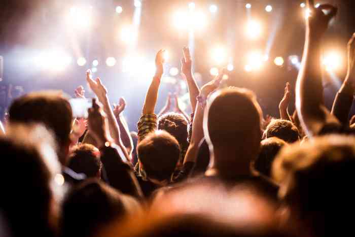 Crowd enjoying music during a concert