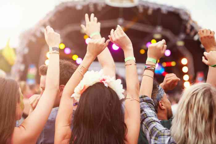 peop,e with hands in the air during a concert