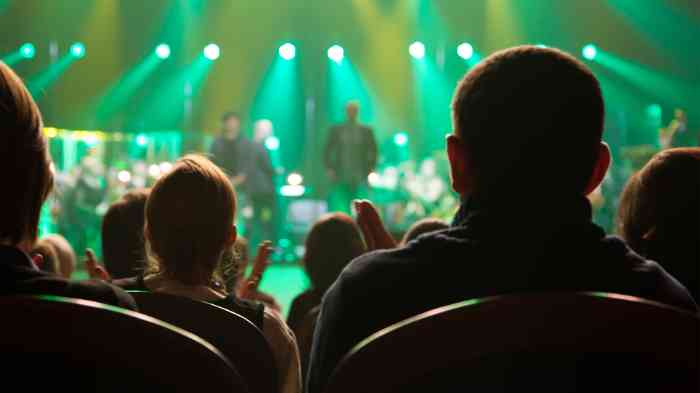 Bild eines Konzerts mit grünen Lichtern.