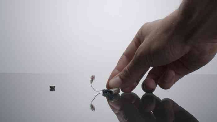 Amplifon Hörgerätebatterien 312, 10, 13, 675