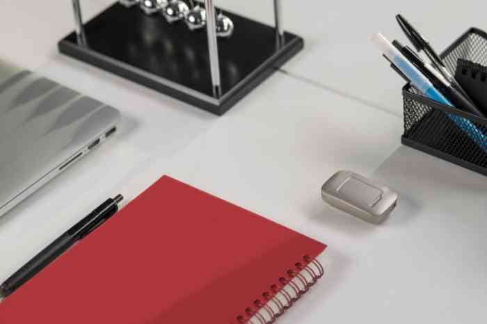 Microfono esterno della gamma Amplifon