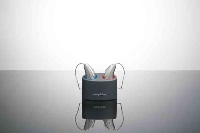 Rechargeable hearing aids in their charger