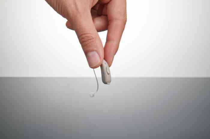 An overview of an essential hearing aid