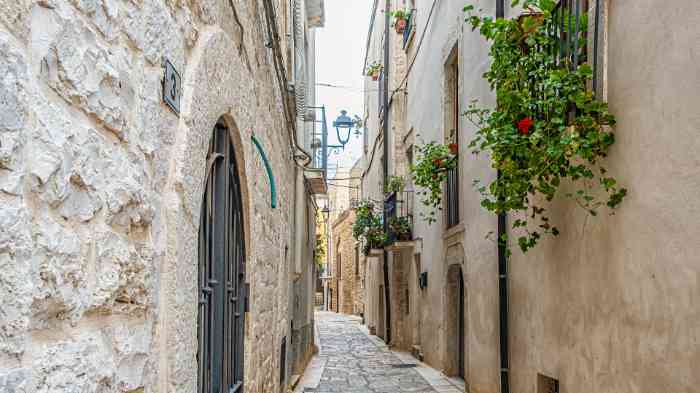 Il vicolo di un borgo