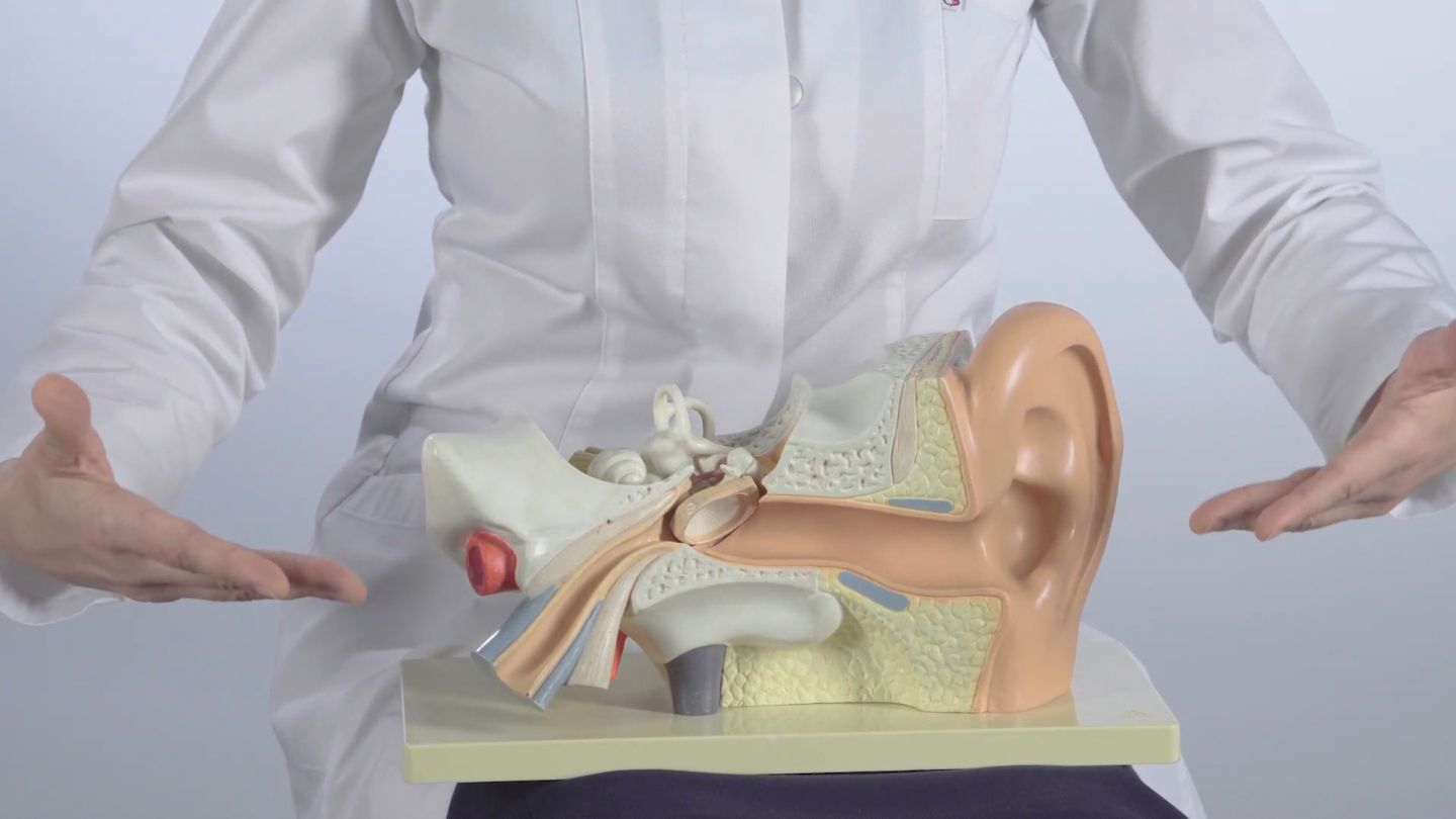 Über geschwollene Lymphknoten hinter dem Ohr Amplifon CH